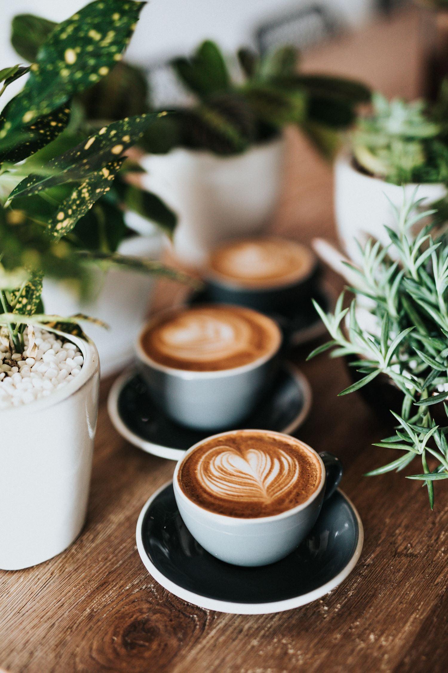 Waarom yerba mate een geweldige vervanger is voor koffie