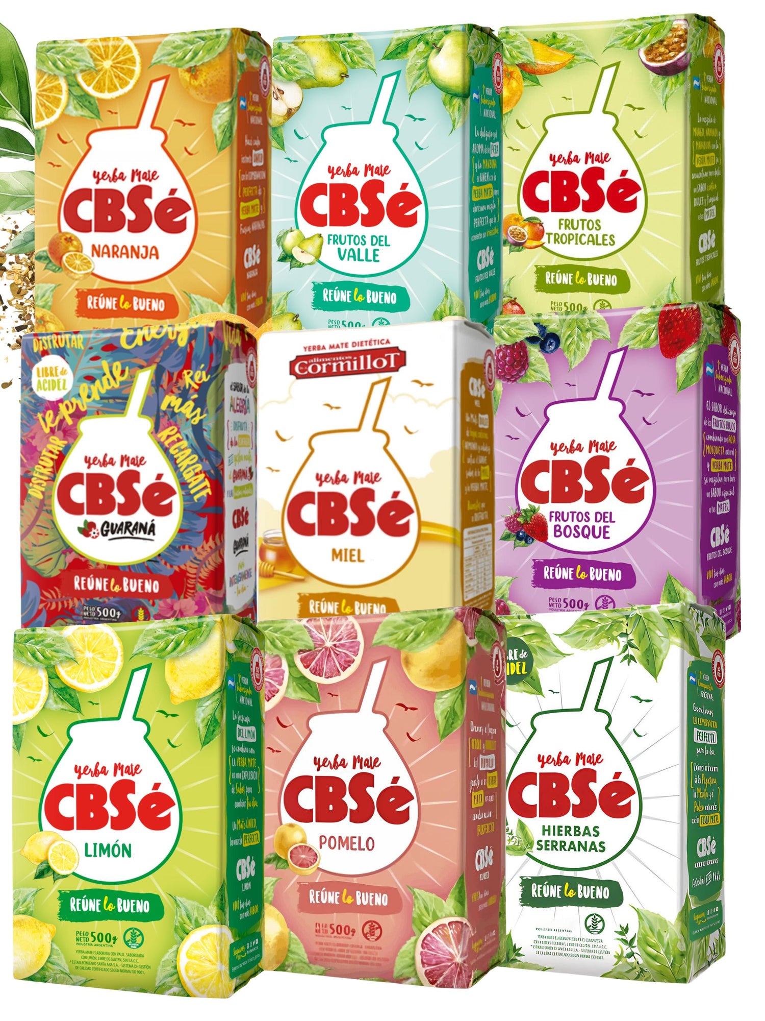 CBSé Bundle